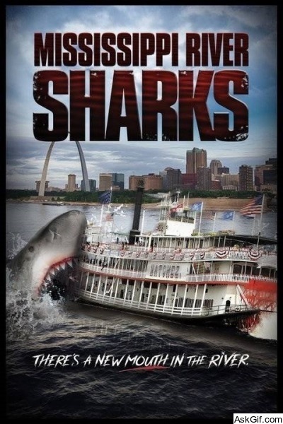 Mississippi River Sharks