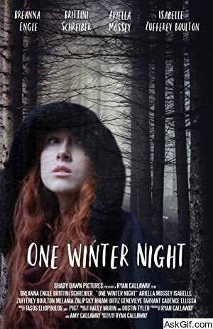 One Winter Night