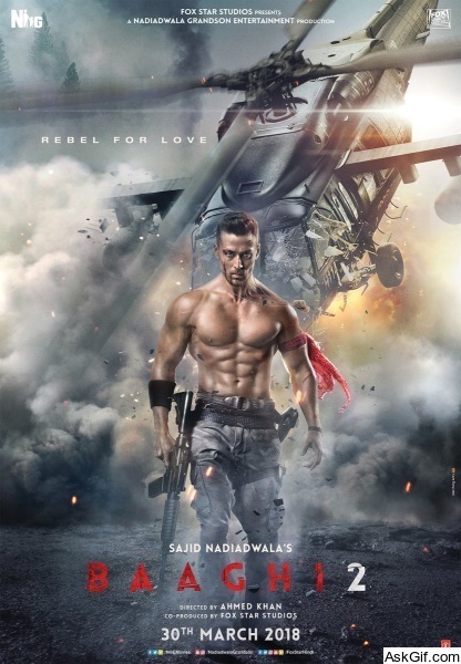 Baaghi 2