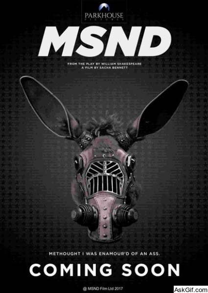 A Midsummer Night's Dream