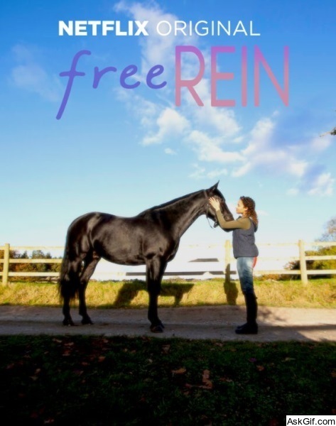 Free Rein