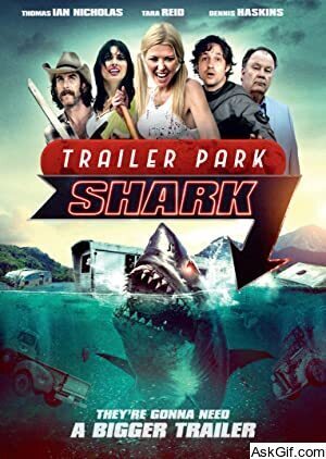 Trailer Park Shark