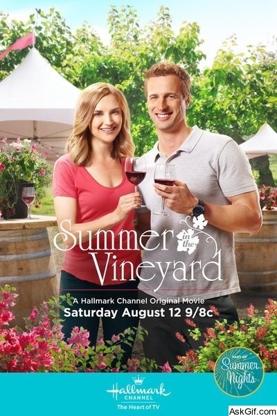 Summer in the Vineyard