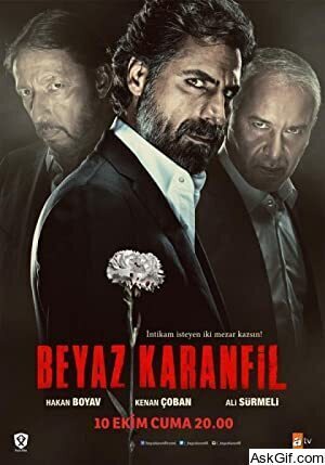 Beyaz Karanfil