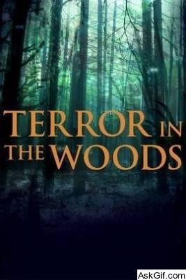 Terror in the Woods