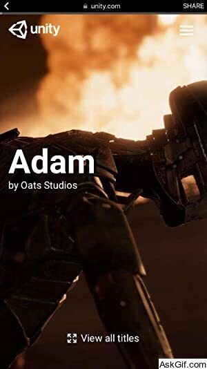 Adam: The Mirror