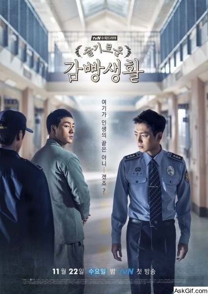 Prison Playbook