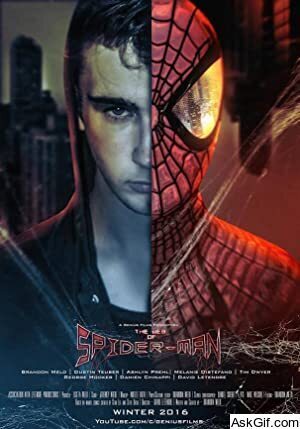 The Web of Spider-Man