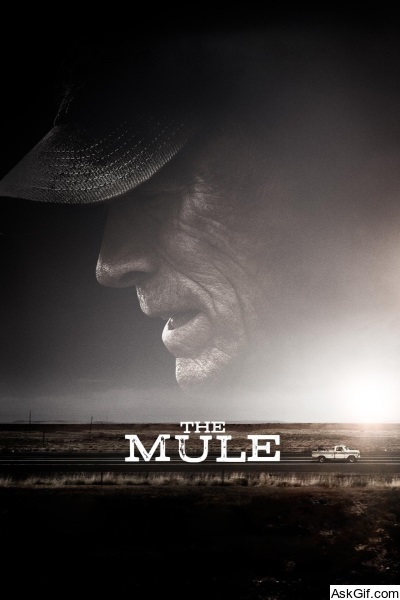 The Mule