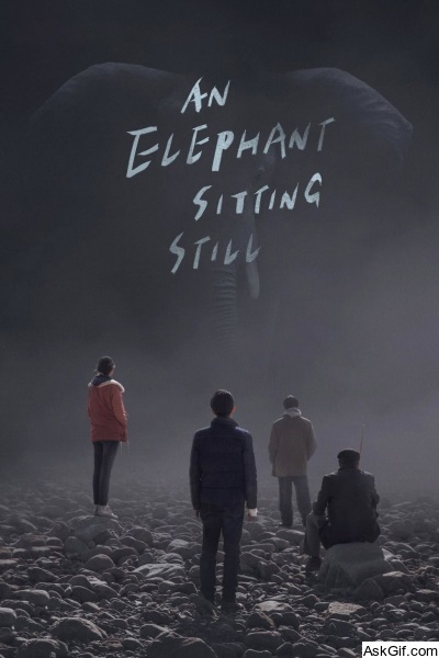 An Elephant Sitting Still