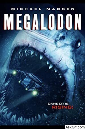 Megalodon