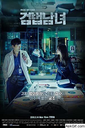 Investigation Partners