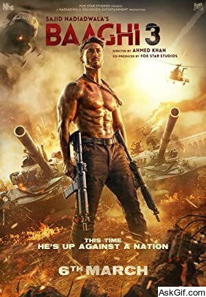 Baaghi 3