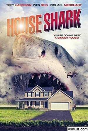 House Shark