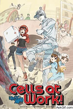 Cells at Work!