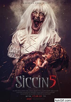 Siccin 5