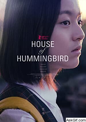 House of Hummingbird