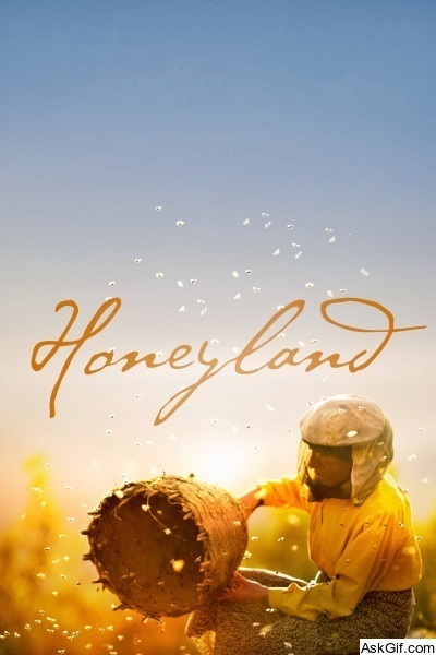 Honeyland