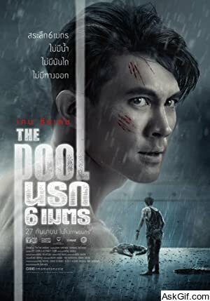 The Pool