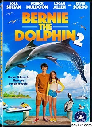 Bernie the Dolphin 2