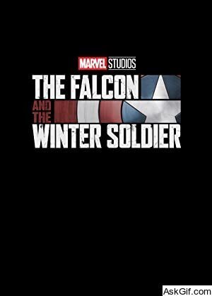The Falcon and the Winter Soldier