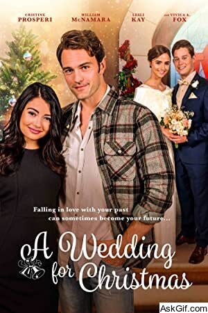 A Wedding for Christmas