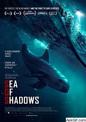 Sea of Shadows