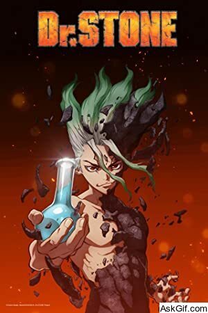 Dr. Stone