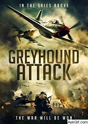 Greyhound Attack