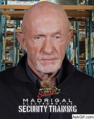 Better Call Saul: Madrigal Electromotive Security Training