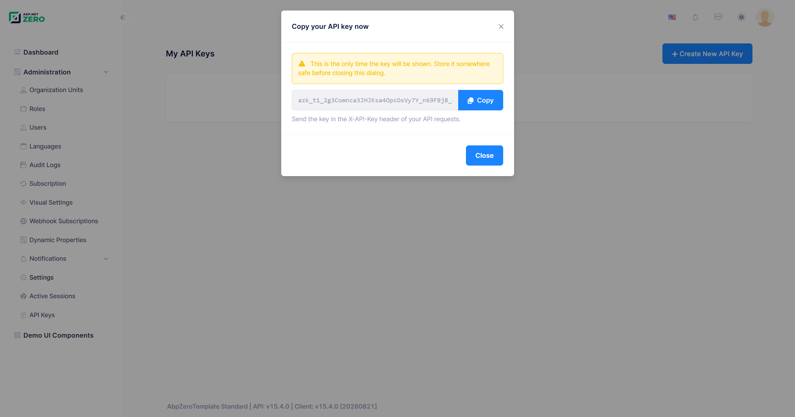 Copy Your API Key
