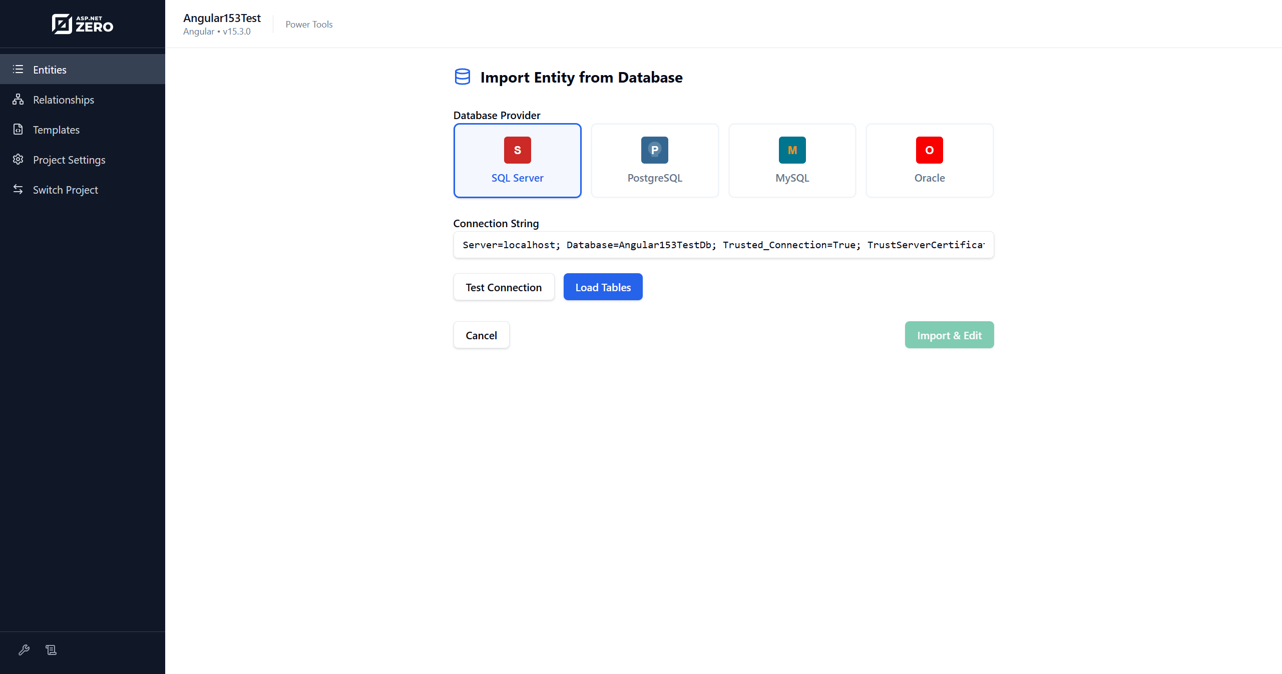 ASP.NET Zero Power Toos Loading Entity From Database Page