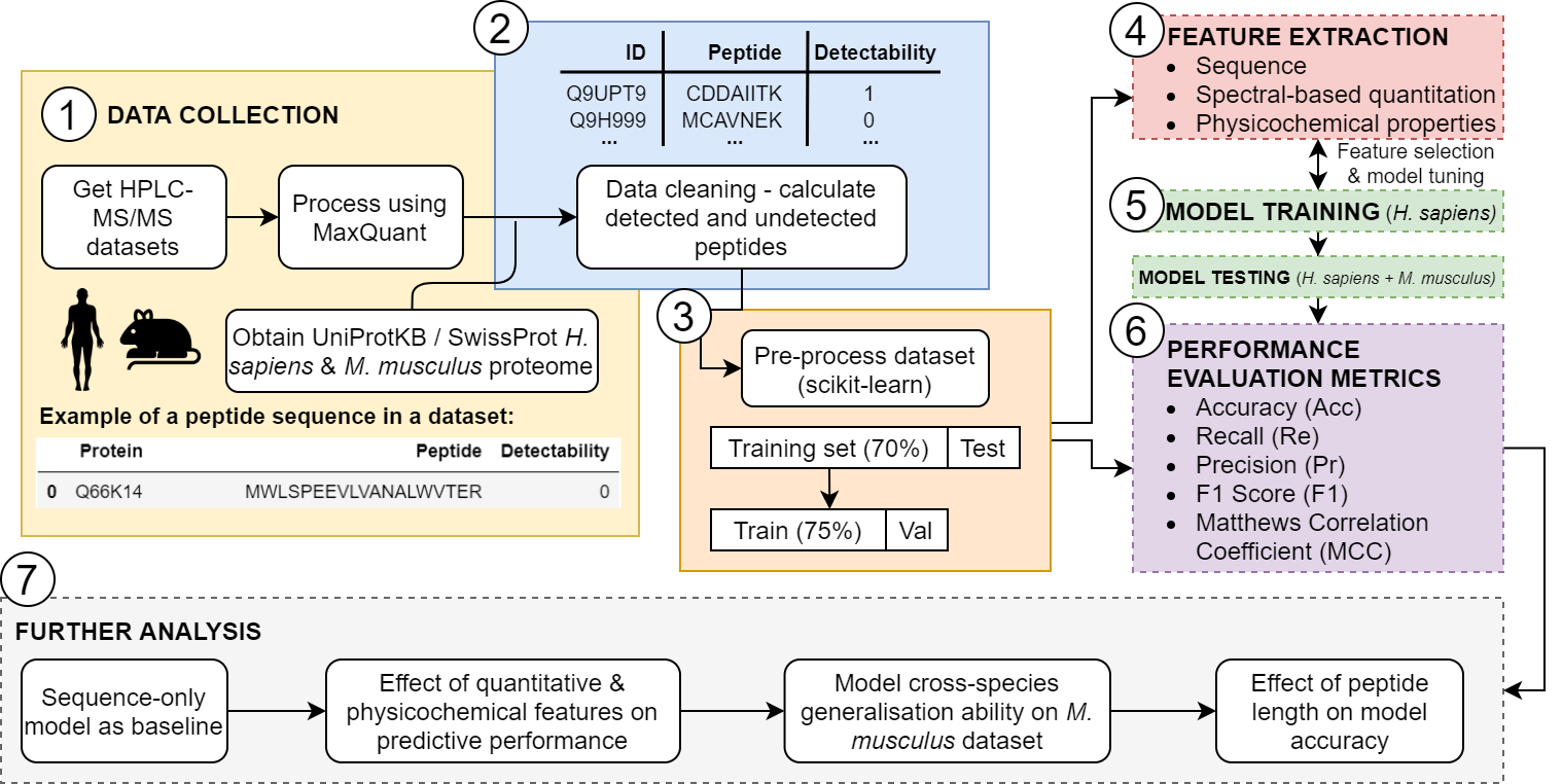 schematic-overview-peptide-detectability-prediction