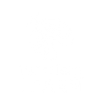 TerraTern Logo