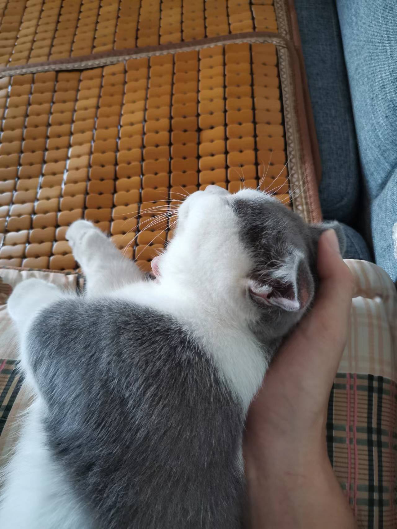 摸头杀
