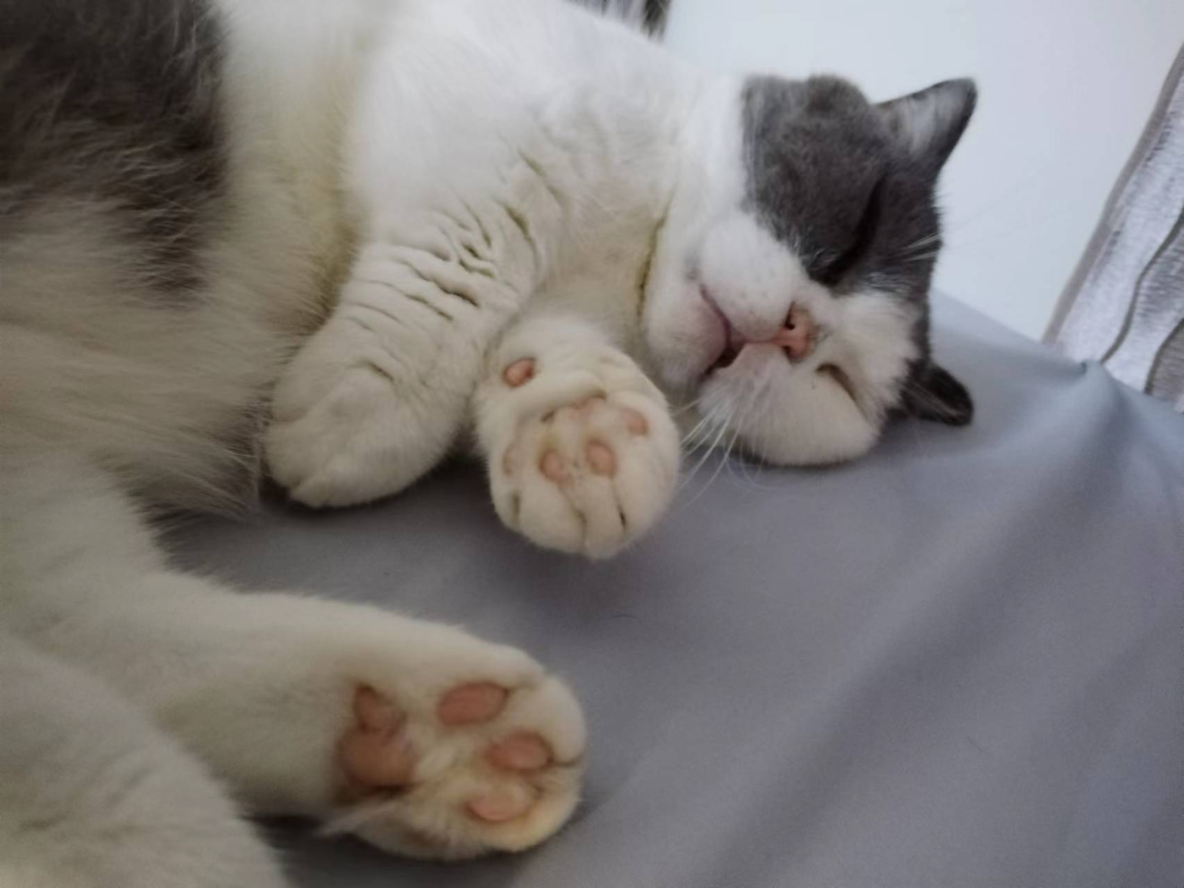 睡觉