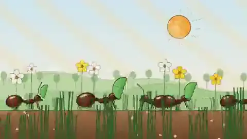 Ant colony animation preview