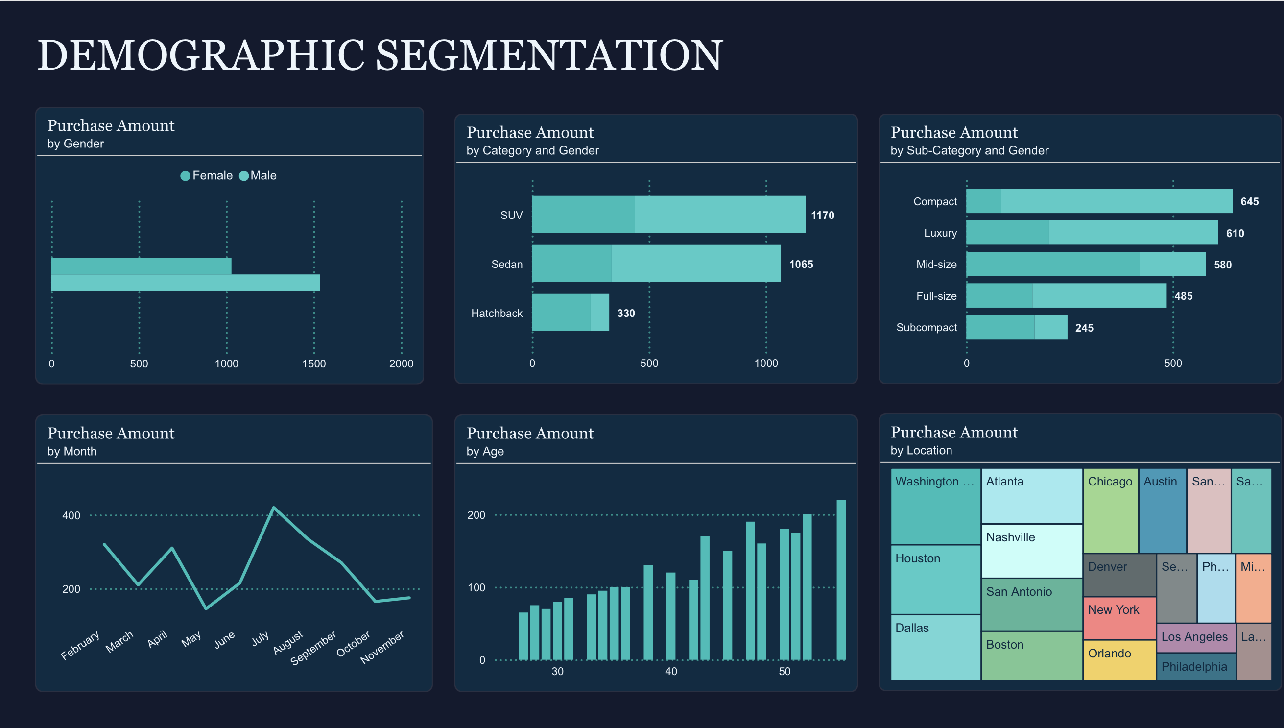 Demographic Segmentation