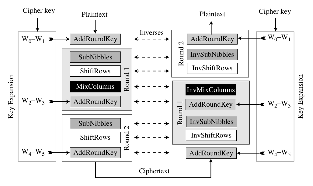 SAES structure