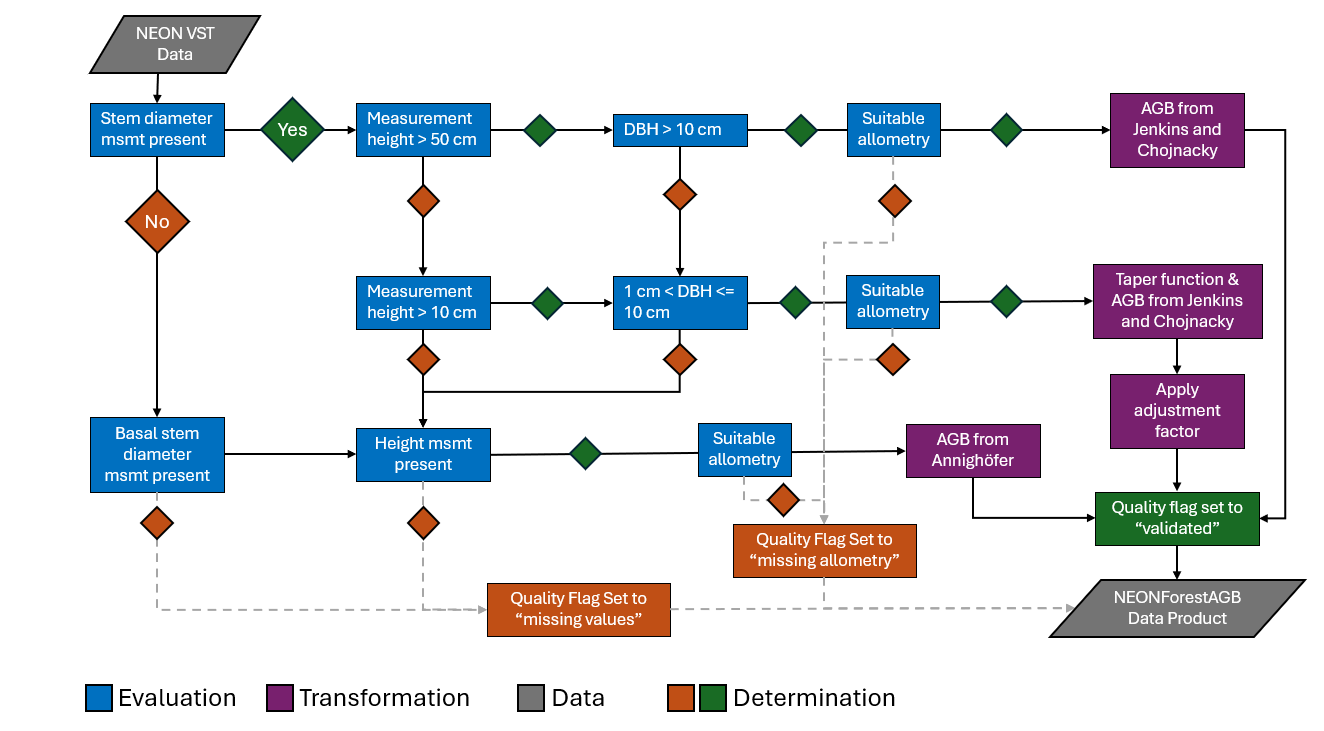 Figure 2. Workflow diagram illustrating the process from which measurements of individual tree diameter is taken and then processed into aboveground biomass (AGB) estimates.