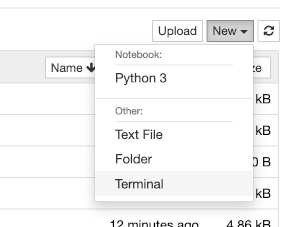 Jupyter Terminal