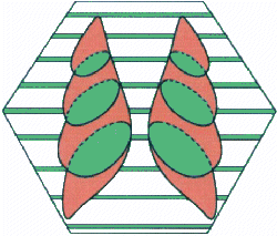 Welcome to Chiralsep