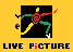 livepicture_logo.gif (670 bytes)