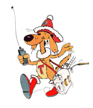 Clique aqui e consulte os nossos conselhos para ter um Natal ter um Natal mais seguro