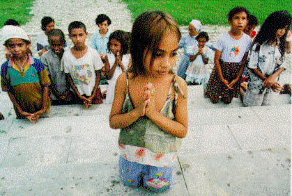 Timor.jpg (147702 bytes)