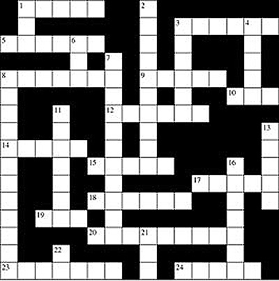Crossword Puzzle