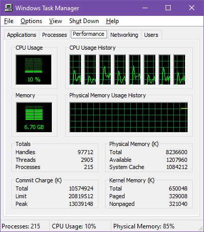 Performance tab with the memory graph showing physical memory