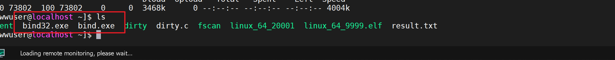 image-20240207172444742