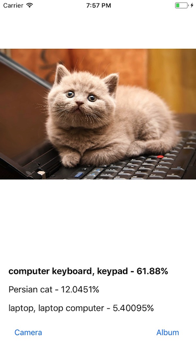 Screenshot of app recognizing cat and laptop