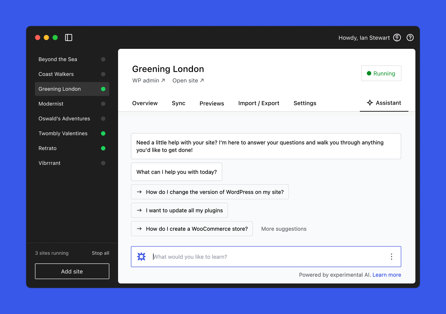 WordPress Studio - Studio Code